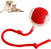 ChaseBall™ Interactive Rolling Ball Toy