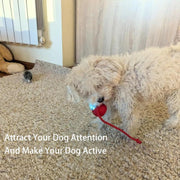 ChaseBall™ Interactive Rolling Ball Toy