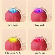 ChaseBall™ Interactive Rolling Ball Toy