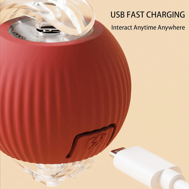 ChaseBall™ Interactive Rolling Ball Toy