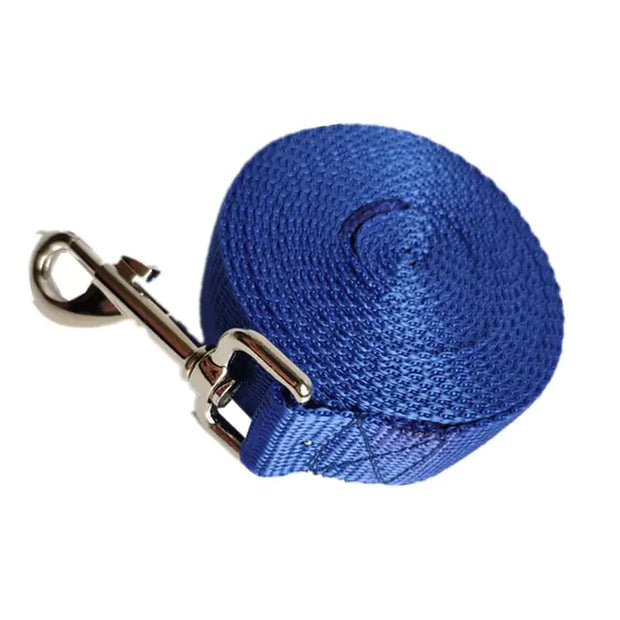2.5CM Wide Long Dog Rope Leash