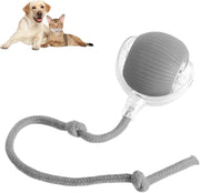 ChaseBall™ Interactive Rolling Ball Toy