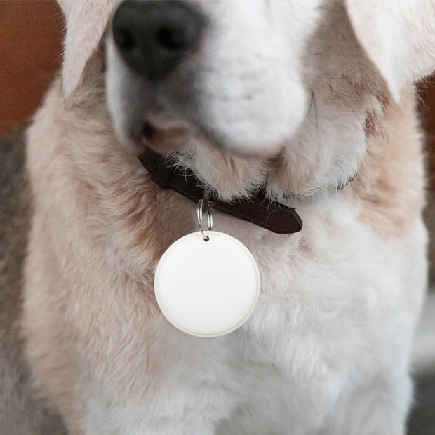 PawTrack™ GPS Smart Tracker Tag
