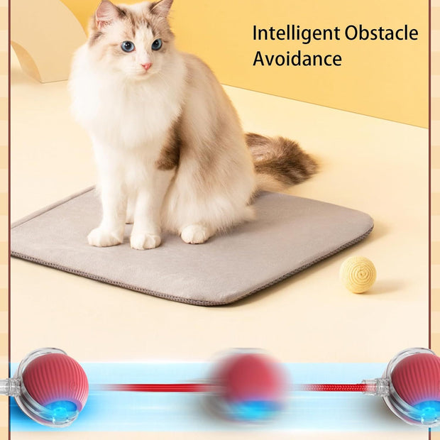ChaseBall™ Interactive Rolling Ball Toy