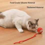 ChaseBall™ Interactive Rolling Ball Toy