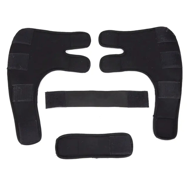 Dog Knee Brace and Leg Protector for Injury Recovery