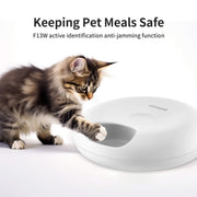SmartFeeder™ Programmable Food Dispenser