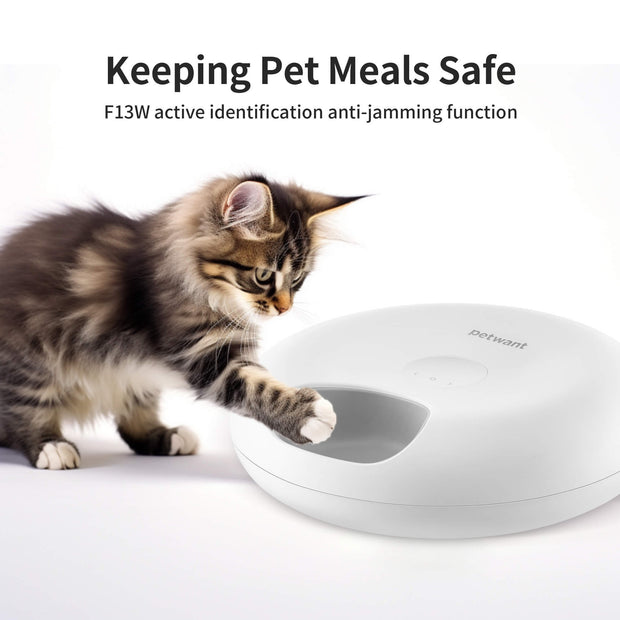 SmartFeeder™ Programmable Food Dispenser
