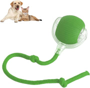 ChaseBall™ Interactive Rolling Ball Toy