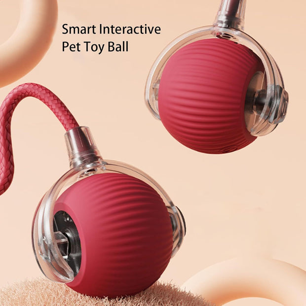 ChaseBall™ Interactive Rolling Ball Toy