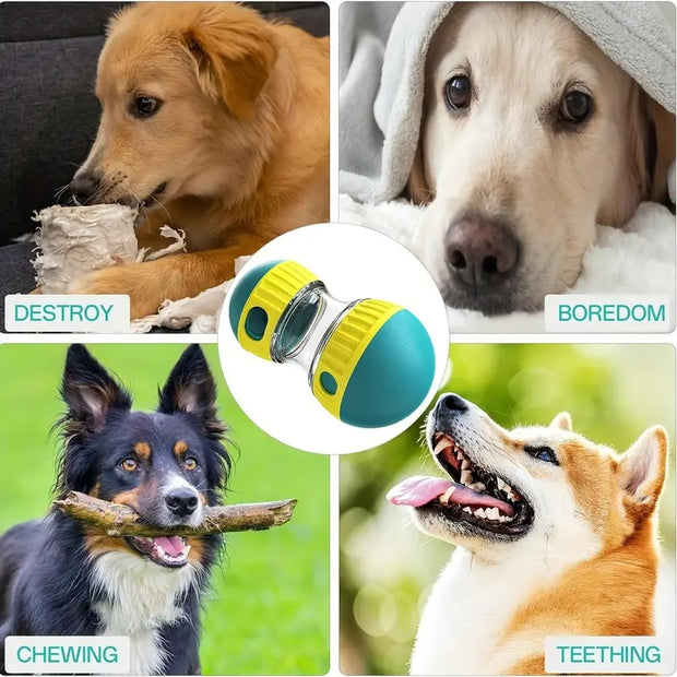 SnackRoller™ Treat Dispensing Toy